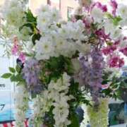 ヒメ日記 2024/12/10 18:01 投稿 辻レイナ クラブ華