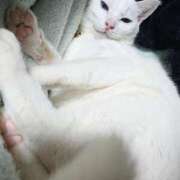 ヒメ日記 2024/12/12 17:00 投稿 辻レイナ クラブ華