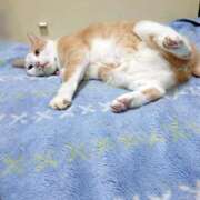 ヒメ日記 2024/12/18 17:00 投稿 辻レイナ クラブ華