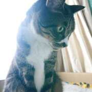 ヒメ日記 2024/12/19 17:01 投稿 辻レイナ クラブ華