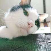 ヒメ日記 2024/12/21 17:01 投稿 辻レイナ クラブ華