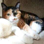 ヒメ日記 2024/12/22 17:01 投稿 辻レイナ クラブ華