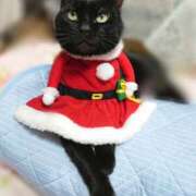 ヒメ日記 2024/12/23 17:00 投稿 辻レイナ クラブ華