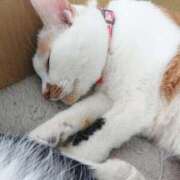 ヒメ日記 2024/12/26 17:01 投稿 辻レイナ クラブ華