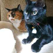 ヒメ日記 2024/12/28 17:00 投稿 辻レイナ クラブ華