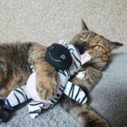 ヒメ日記 2024/12/30 17:00 投稿 辻レイナ クラブ華