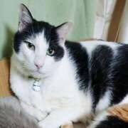 ヒメ日記 2024/12/31 17:00 投稿 辻レイナ クラブ華