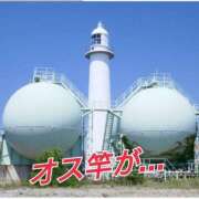 ヒメ日記 2025/01/03 12:02 投稿 辻レイナ クラブ華