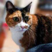 ヒメ日記 2025/01/03 17:00 投稿 辻レイナ クラブ華