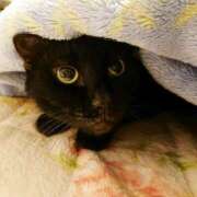 ヒメ日記 2025/01/04 17:00 投稿 辻レイナ クラブ華