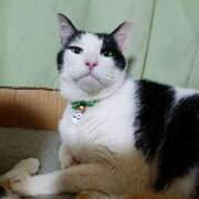 ヒメ日記 2025/01/05 17:00 投稿 辻レイナ クラブ華