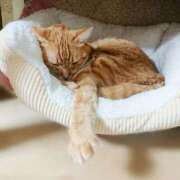 ヒメ日記 2025/01/06 17:00 投稿 辻レイナ クラブ華