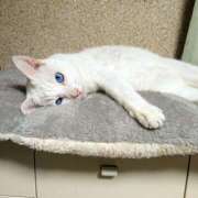 ヒメ日記 2025/01/07 17:01 投稿 辻レイナ クラブ華