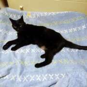 ヒメ日記 2025/01/08 17:01 投稿 辻レイナ クラブ華