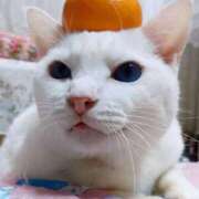 ヒメ日記 2025/01/13 17:00 投稿 辻レイナ クラブ華