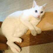 ヒメ日記 2025/01/14 17:00 投稿 辻レイナ クラブ華