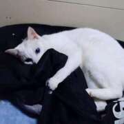 ヒメ日記 2025/01/19 17:00 投稿 辻レイナ クラブ華