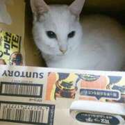 ヒメ日記 2025/01/23 17:00 投稿 辻レイナ クラブ華