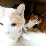 ヒメ日記 2025/01/24 17:00 投稿 辻レイナ クラブ華