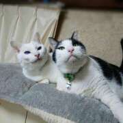 ヒメ日記 2025/01/25 17:00 投稿 辻レイナ クラブ華