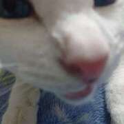 ヒメ日記 2025/01/27 17:00 投稿 辻レイナ クラブ華