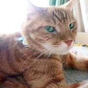 ヒメ日記 2025/01/28 17:00 投稿 辻レイナ クラブ華