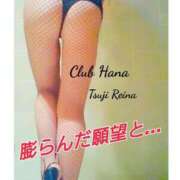 ヒメ日記 2025/02/01 12:00 投稿 辻レイナ クラブ華