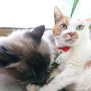 ヒメ日記 2025/02/01 17:00 投稿 辻レイナ クラブ華