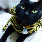 ヒメ日記 2025/02/02 17:00 投稿 辻レイナ クラブ華