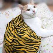 ヒメ日記 2025/02/03 17:00 投稿 辻レイナ クラブ華