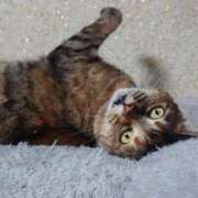 ヒメ日記 2025/02/04 17:00 投稿 辻レイナ クラブ華