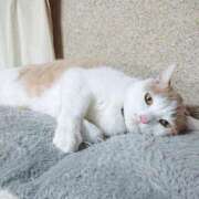 ヒメ日記 2025/02/07 17:00 投稿 辻レイナ クラブ華