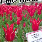 ヒメ日記 2025/02/08 18:00 投稿 辻レイナ クラブ華