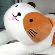 ヒメ日記 2025/02/09 11:00 投稿 辻レイナ クラブ華