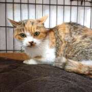 ヒメ日記 2025/02/12 17:00 投稿 辻レイナ クラブ華