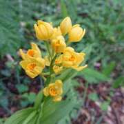 ヒメ日記 2025/02/12 18:00 投稿 辻レイナ クラブ華