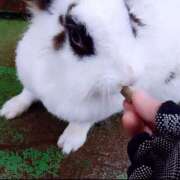 ヒメ日記 2025/02/13 11:00 投稿 辻レイナ クラブ華