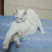 ヒメ日記 2025/02/20 17:00 投稿 辻レイナ クラブ華