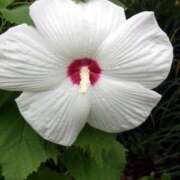 ヒメ日記 2025/02/20 18:00 投稿 辻レイナ クラブ華