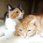 ヒメ日記 2025/02/21 17:00 投稿 辻レイナ クラブ華