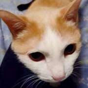 ヒメ日記 2025/02/22 17:00 投稿 辻レイナ クラブ華