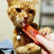 ヒメ日記 2025/02/25 17:00 投稿 辻レイナ クラブ華