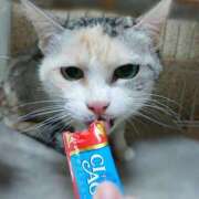 ヒメ日記 2025/02/26 17:00 投稿 辻レイナ クラブ華