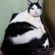 ヒメ日記 2025/03/02 17:00 投稿 辻レイナ クラブ華