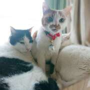 ヒメ日記 2025/03/12 17:00 投稿 辻レイナ クラブ華