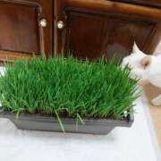 ヒメ日記 2025/03/13 17:00 投稿 辻レイナ クラブ華