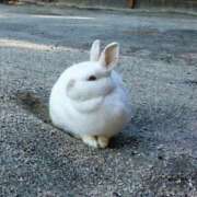 ヒメ日記 2025/03/15 11:30 投稿 辻レイナ クラブ華