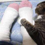 ヒメ日記 2025/03/18 17:00 投稿 辻レイナ クラブ華