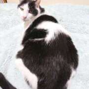 ヒメ日記 2025/03/23 17:00 投稿 辻レイナ クラブ華