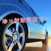 ヒメ日記 2025/03/25 12:01 投稿 辻レイナ クラブ華